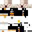 Texture for walter