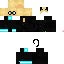 Texture for ice cat