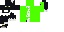 Texture for Katt 