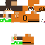 Texture for DARWIN