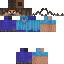 Texture for Steve Black