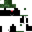 Texture for amir