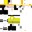 Texture for Chamba