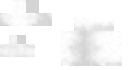 Texture for sheep_fur