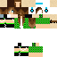 Texture for steve