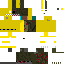 Texture for 334r3