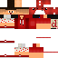Texture for SrMaycoonBr 