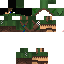 Texture for mc skin