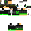 Texture for MANEIRP