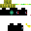 Texture for sheesh
