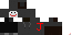 Texture for Joker Internal