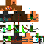 Texture for io