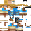 Texture for Link