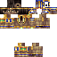 Texture for ns79