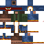 Texture for Wandering Trader