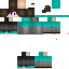 Texture for shaigellman