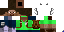 Texture for aReDoNeLP