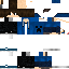 Texture for steve