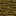 Texture for jungle root