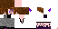 Texture for enderlox