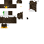 Texture for bart
