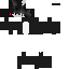 Texture for DINO