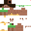 Texture for Srpv