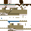 Texture for Lin Rags - Mineskin