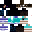 Texture for Endersteve