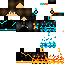 Texture for Steve