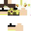 Texture for flashplays