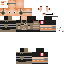 Texture for comandiu sargento