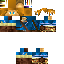 Texture for Link 