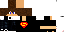 Texture for walace2020 