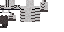 Texture for Zebra Cat