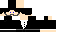 Texture for THE GUY