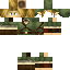 Texture for Link No Shield