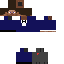Texture for Steve Agent