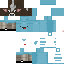 Texture for Skepy