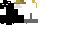 Texture for SC