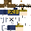 Texture for elevenst3