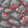 Texture for leverdot