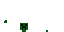 Texture for くろたん