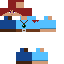 Texture for Pheonix