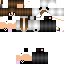 Texture for PANDA