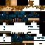 Texture for steeve roger