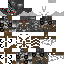 Texture for Megatron
