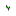 Texture for qqqq