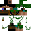 Texture for asassin of forestin