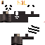Texture for ds